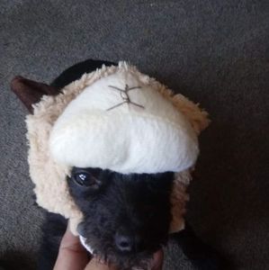 Meet your Posher, Mealee